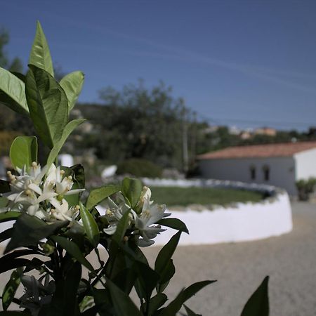 Suite Swimming Pool Quinta Da Eira 140 Years Old Loulé Eksteriør billede